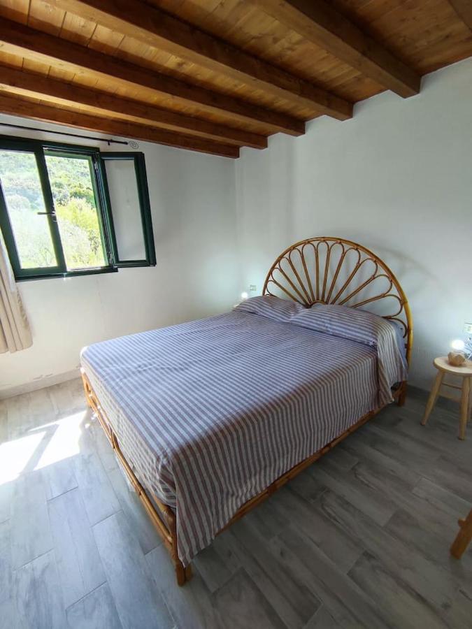 Schifoni Villa Ulivella מראה חיצוני תמונה
