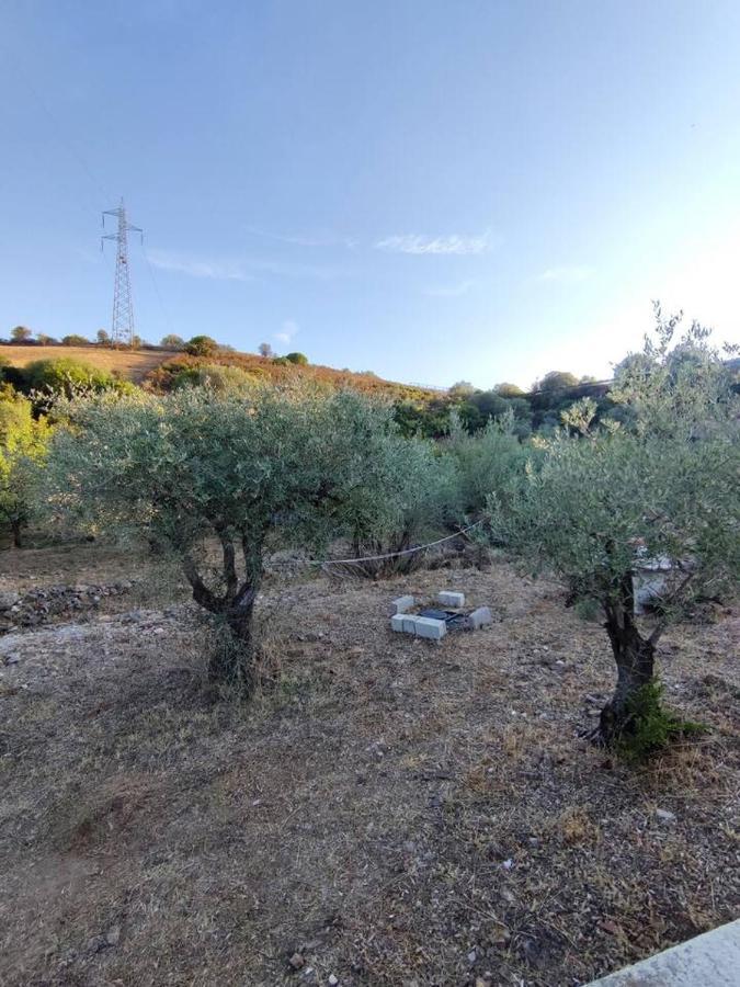 Schifoni Villa Ulivella מראה חיצוני תמונה