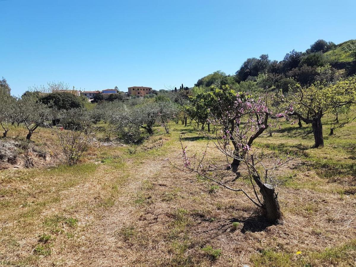 Schifoni Villa Ulivella מראה חיצוני תמונה
