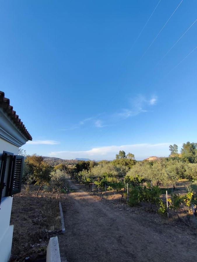 Schifoni Villa Ulivella מראה חיצוני תמונה